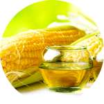 В состав Varikosette входит масло кукурузы